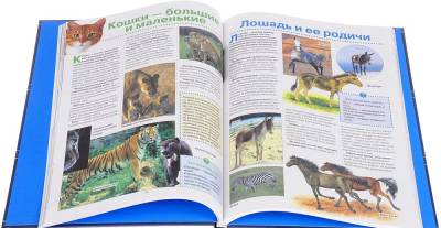 Большая энциклопедия школьника